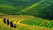 3-Night Sapa Trek and Homestay with Round Trip Transfer from Hanoi