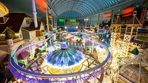 Private Tour to Lotte Tower, Aquarium and Lotte world Theme park