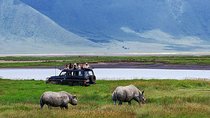 1 Day Joined Group Safari in Ngorongoro Crater National Park