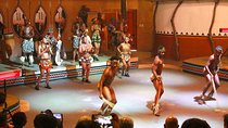 3 tours/ cradle human kind caves and Lesedi Cultural village 