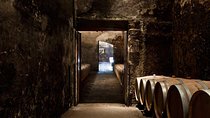 Bordeaux: Wine Tour and Tasting