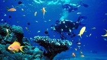 Diving In Kusadasi