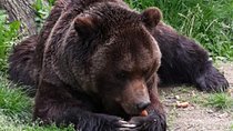 Private 2-Day Tour in Transylvania from Bucharest Hotel Pick-up and Drop off
