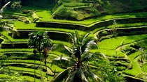 Bali Private Shore Excursion Explore Ubud Are (Cruise ship)