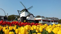 Private 4 days Nami Island&Petite France&Seoul&Everland tour