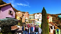 Full-Day Customizable Private Tour to Nami Island and surrounding Area
