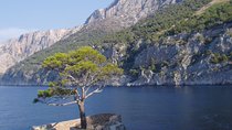 Mesmerizing Hvar speed boat tour with optional wine tasting