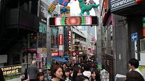 8-hour Tokyo tour by qualified tour guide using public transport