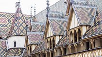 BURGUNDY : Wine Tasting & Visits- Private Day Trip From Paris 