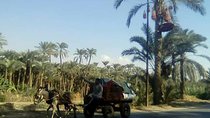 Egypt countryside rural life experience day tour
