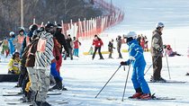 [Private Tour] Nami Island & Ski (Ski Lesson, Equip & Clothing Included)