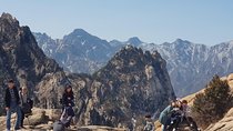 [Premium Private Tour] Mt Seorak & East Sea or Nami island from Seoul