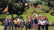 Coastal Gems: Viña del Mar & Valparaíso