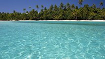 Samana Full Day Trip from Punta Cana