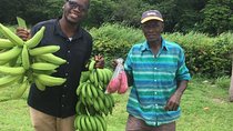 Jamaica Foodie and Cultural Experience in Ocho Rios