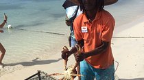 Explore Montego Bay Jamaica to Negril Beach & Ricks Cafe Sunset 