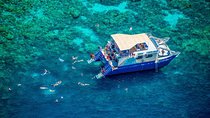 Kona’s Best Morning Snorkel: Captain Cook & Kealakekua Bay