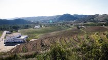 Premium gastronomic mountain tour: Wine, olive oil, spirits, food