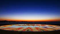 Private Transfer from Split to Zadar with a stop in Trogir