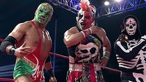 Lucha Libre and Mariachi