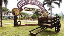 Appleton Estate Rum Tour and Tasting from Montego Bay