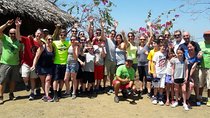 Rain Forest Canopy Tour from Tamarindo: Zipline, Hanging Bridge