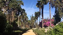 Half Day Trip to Undurraga Vineyard from Santiago - Wine Tasting Included