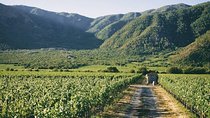 Full Day Guided Trip to Casablanca Valley - Visit to 2 Vineyards