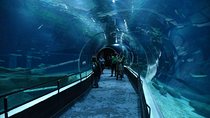 Aquario With Olympic Boulevard Rio de Janeiro