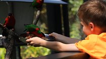 Kids Park Ranger for a Day