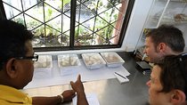 Behind The Scenes Guided Tour