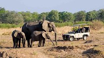 Zambezi National Park AM or PM Game Drive