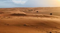 Private Camping Tour 2 Days Package (1 Nighat Camp In Wahiba Sands)