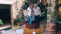 Private Grape stomping in Chianti from Siena