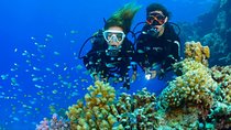 Tulamben Diving USS Liberty Shipwreck Scuba Dive