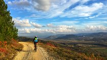 E-bike Tour: Istrian Countryside & Parenzana