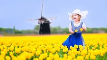 Delft and Keukenhof Gardens Tour from Brussels 
