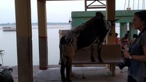 Sacred Ponds & Temples Walking tour in Varanasi