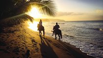 Sunset Horseback Riding in punta cana beach 