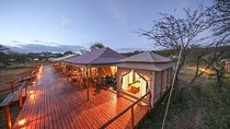 7 Days: Great Migration Mara River Crossing(manyara, Ngorongoro And Serengeti)