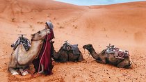 Fes to Marrakech 4 days desert tours