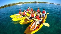 Overnight Lan Ha Bay - Cat Ba on Deluxe Cruise with Kayaking, Cave,...