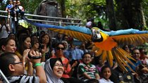 Kuala Lumpur City Famous Landmarks with Bird Park Admission