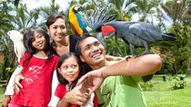 Bali Bird Park Admission Ticket with Hotel Transfer