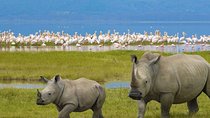 9 Days Africa Lodge Safari Holiday Package 