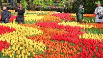14-day Taste of Europe Tour: France, Italy, Monaco,Switzerland,Germany and more.