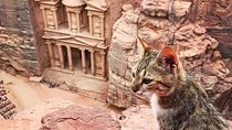 Discover Jordan