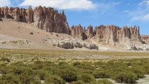 Route of the Andean salt flats