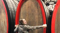 Small Group Wine Tasting in Tuscany with Vineyard Visit