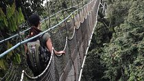 2 Days Rwanda Chimpanzee Trekking Safari